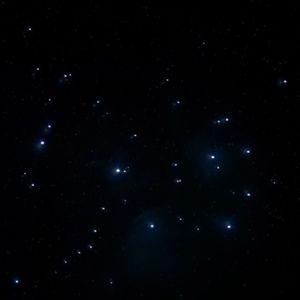 Meet your Posher, Desiree